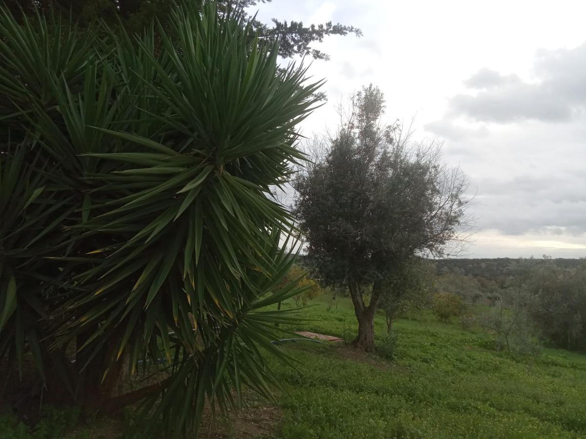 Homestay Monte Da Samarra - Local