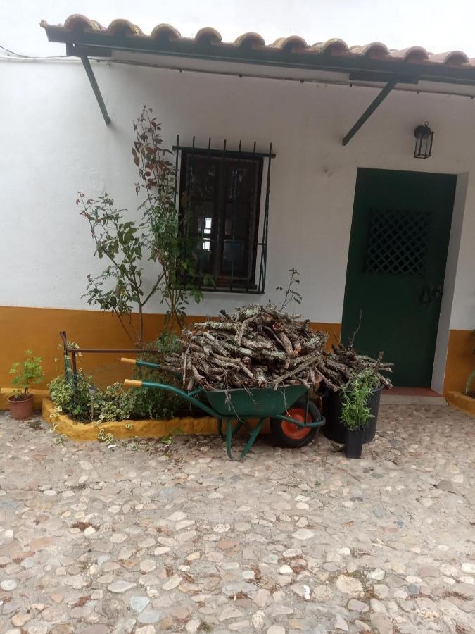 Monte Da Samarra - Local Homestay