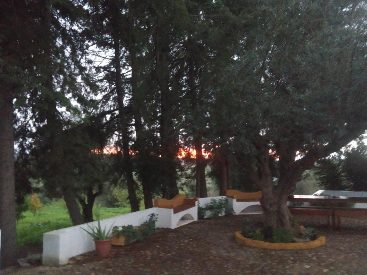 Monte Da Samarra - Local Homestay Avis