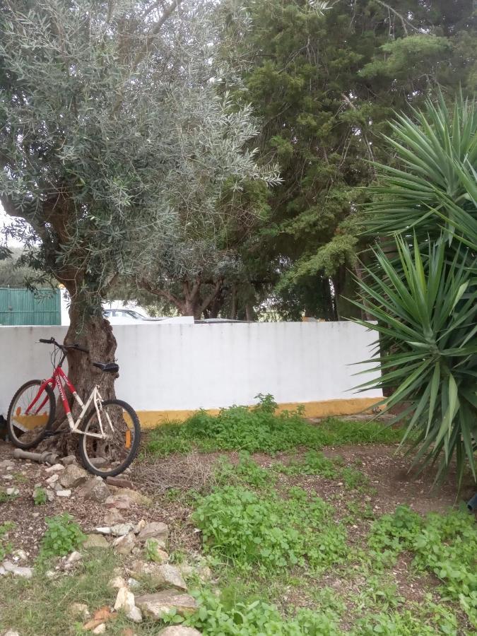 Monte Da Samarra - Local Homestay Avis