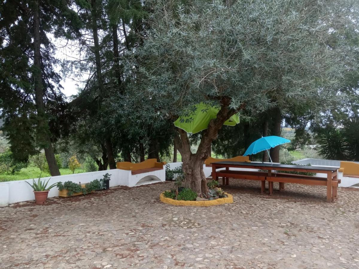 Homestay Monte Da Samarra - Local *