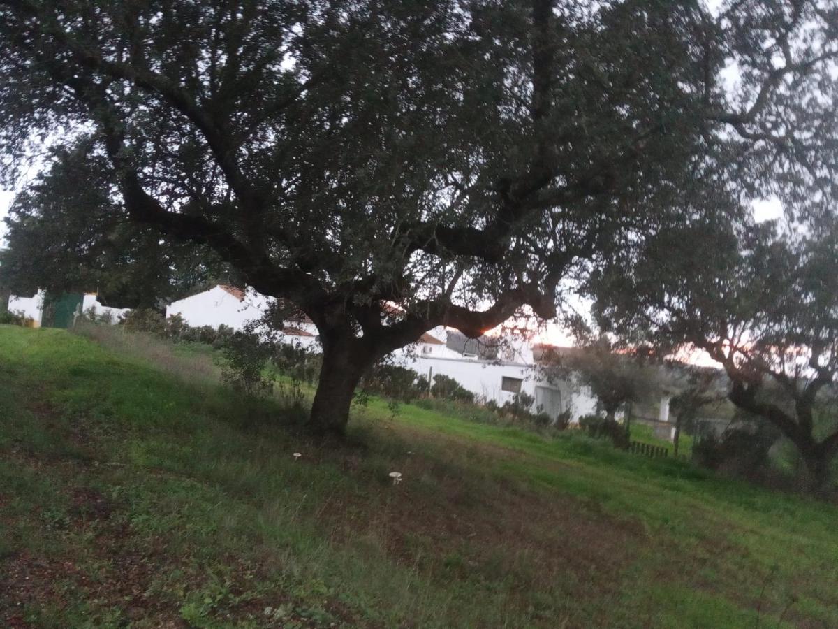 Monte Da Samarra - Local Avis