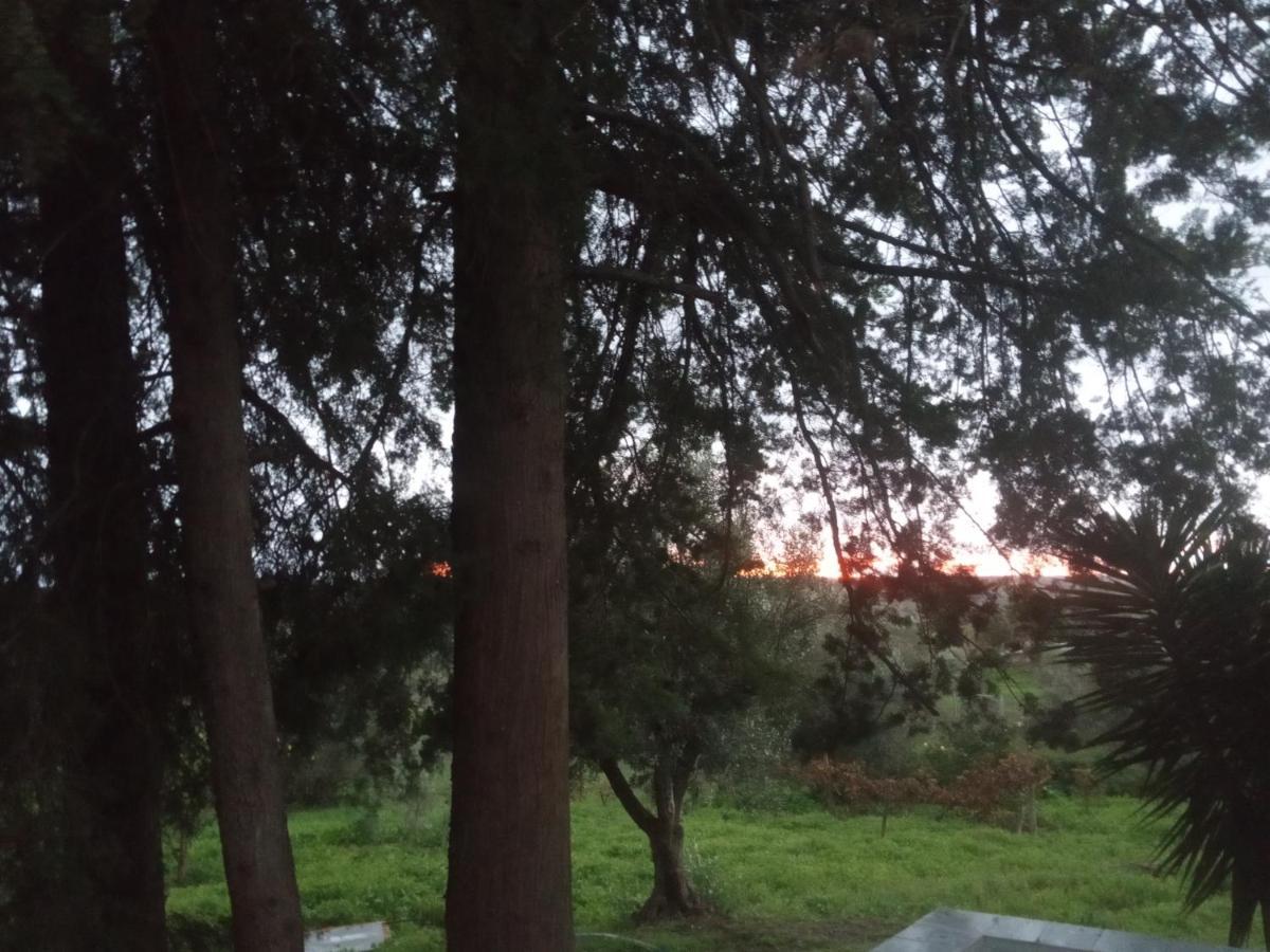 Homestay Monte Da Samarra - Local *