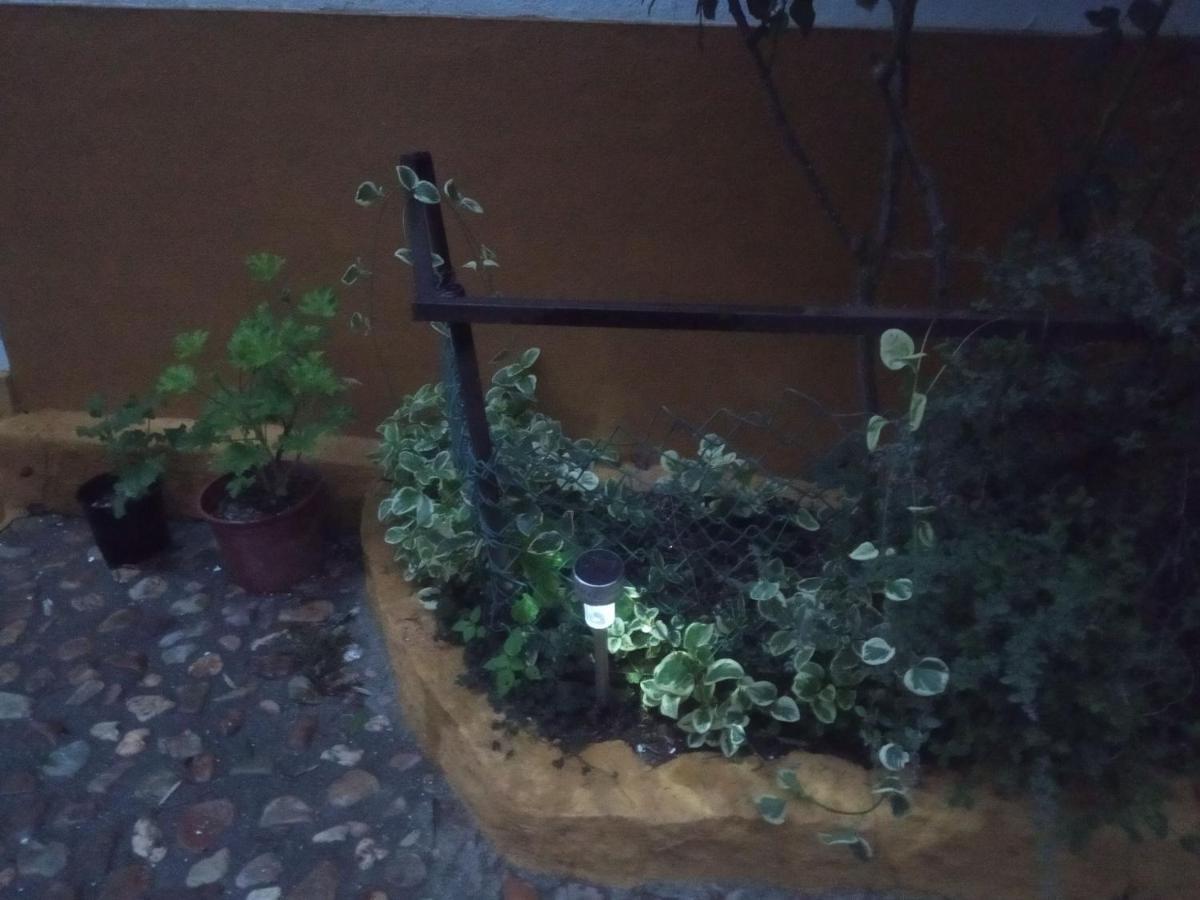 Monte Da Samarra - Local Homestay *