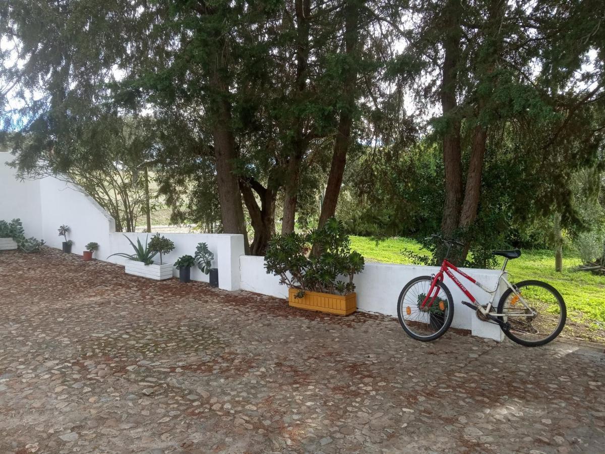 Monte Da Samarra - Local