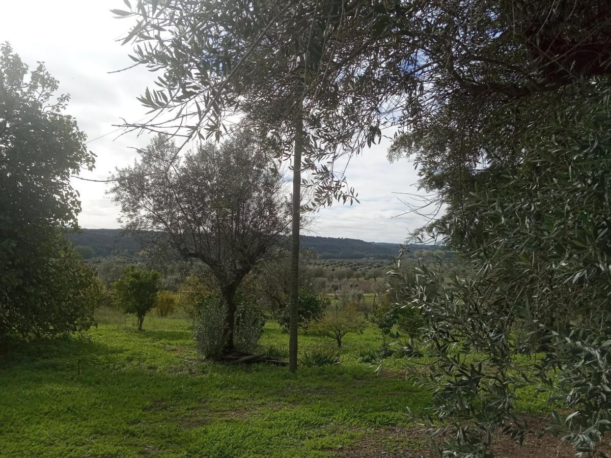 Monte Da Samarra - Local Homestay Avis