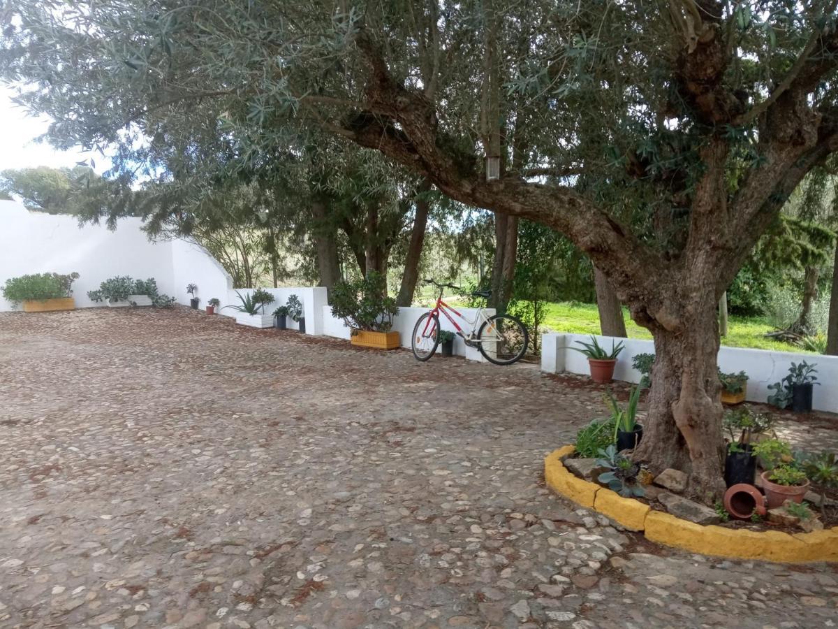 Monte Da Samarra - Local Homestay *