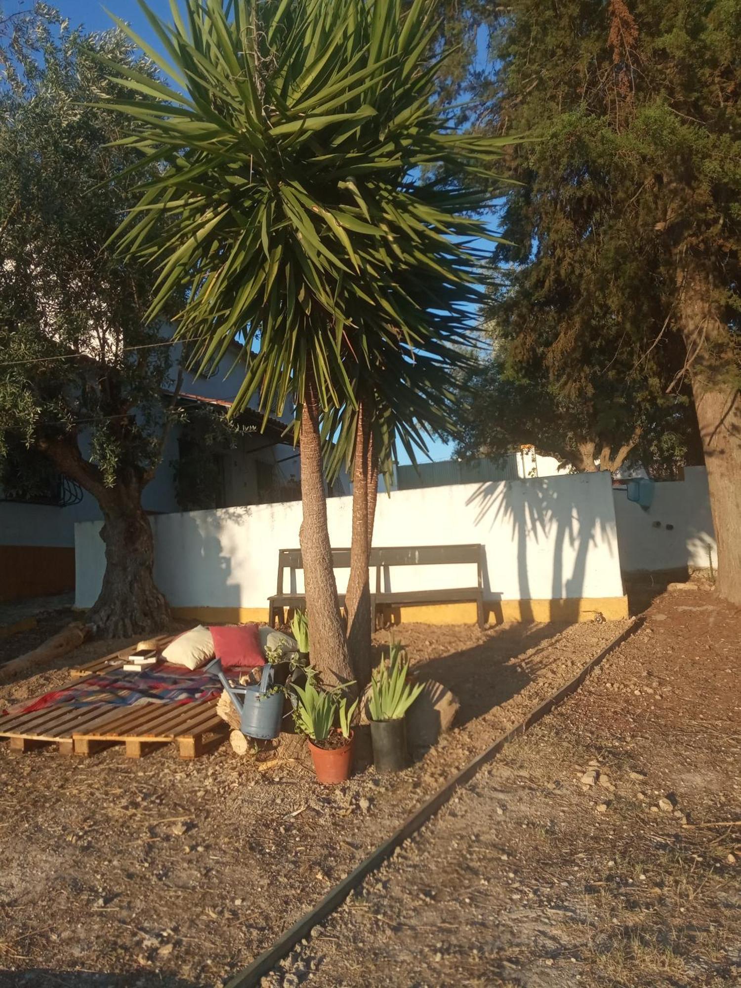 Homestay Monte Da Samarra - Local